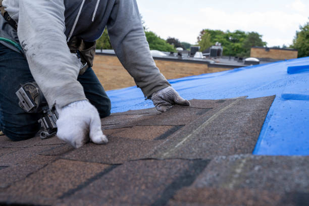 Best Metal Roofing Contractor  in Cortland, OH